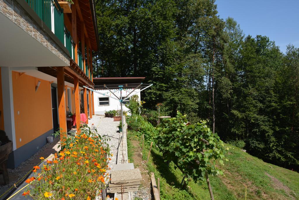 Gästehaus Schmid Sankt Johann im Saggautal Exterior foto